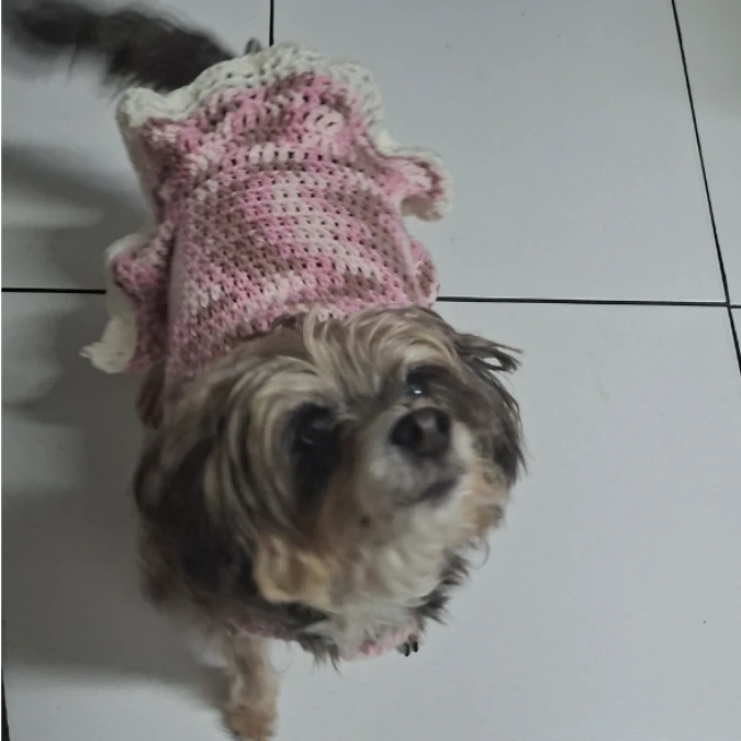 Nina